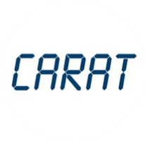 logo carat